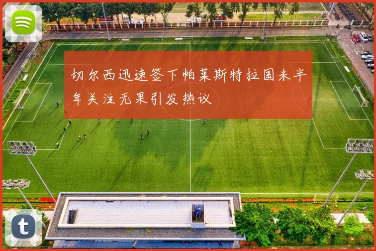 切尔西迅速签下帕莱斯特拉国米半年关注无果引发热议